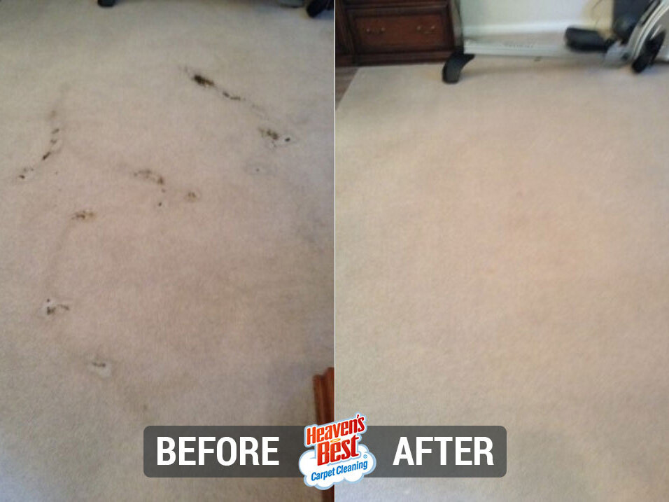 Heaven's Best Carpet Cleaning of Fox Valley