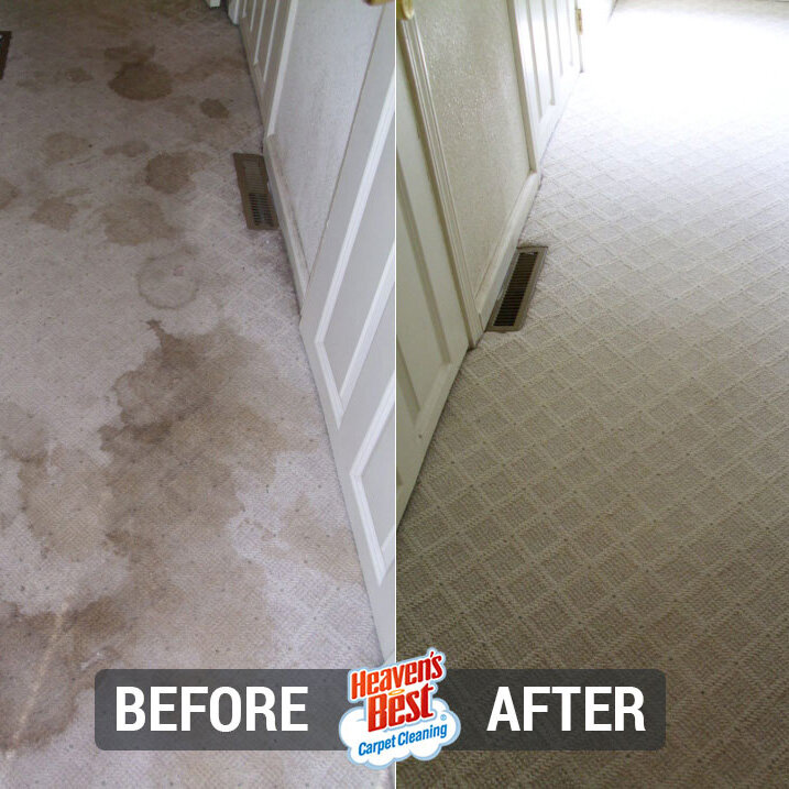Heaven's Best Carpet Cleaning of Fox Valley